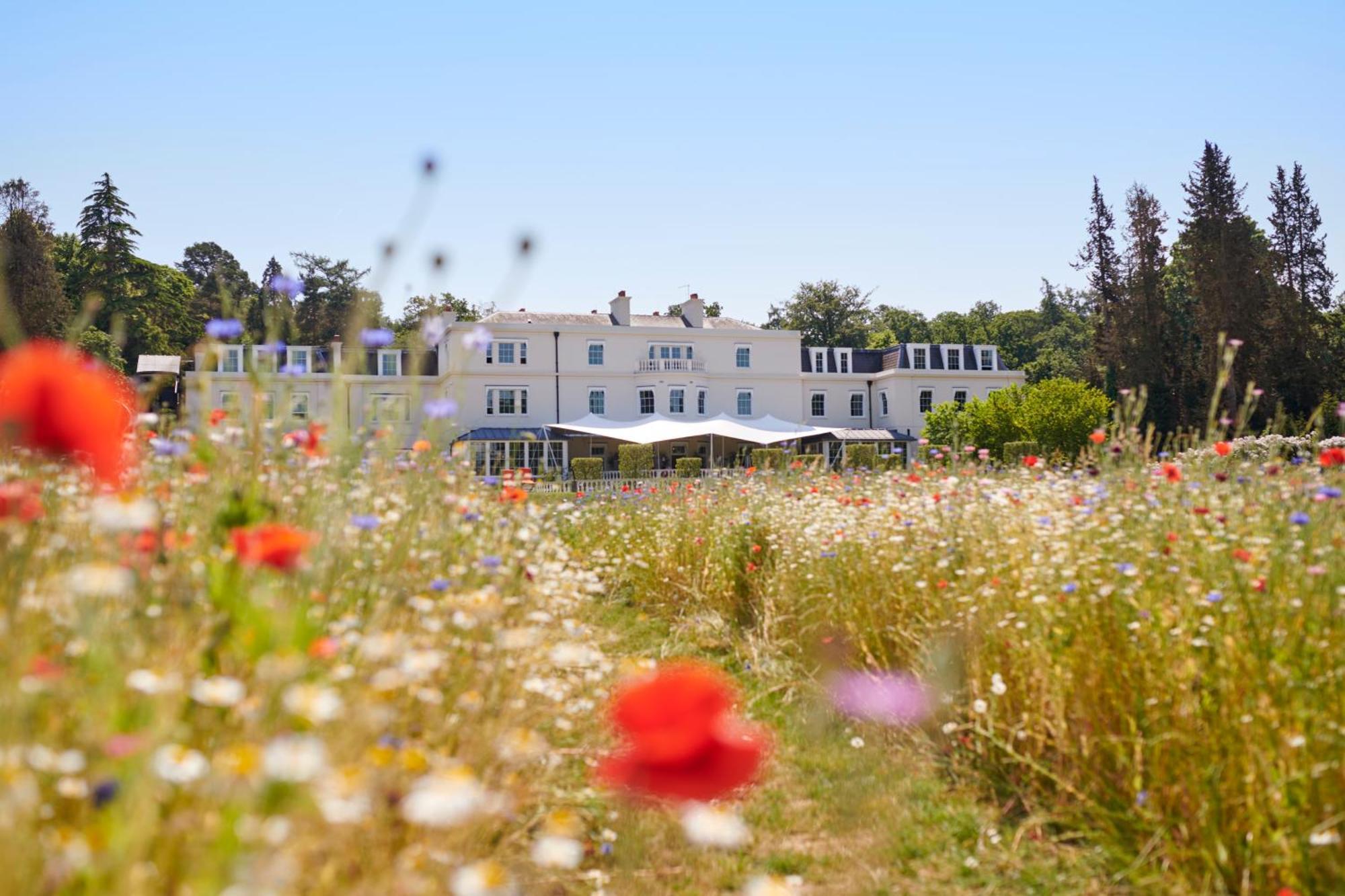 Coworth Park - Dorchester Collection Ascot  Zewnętrze zdjęcie