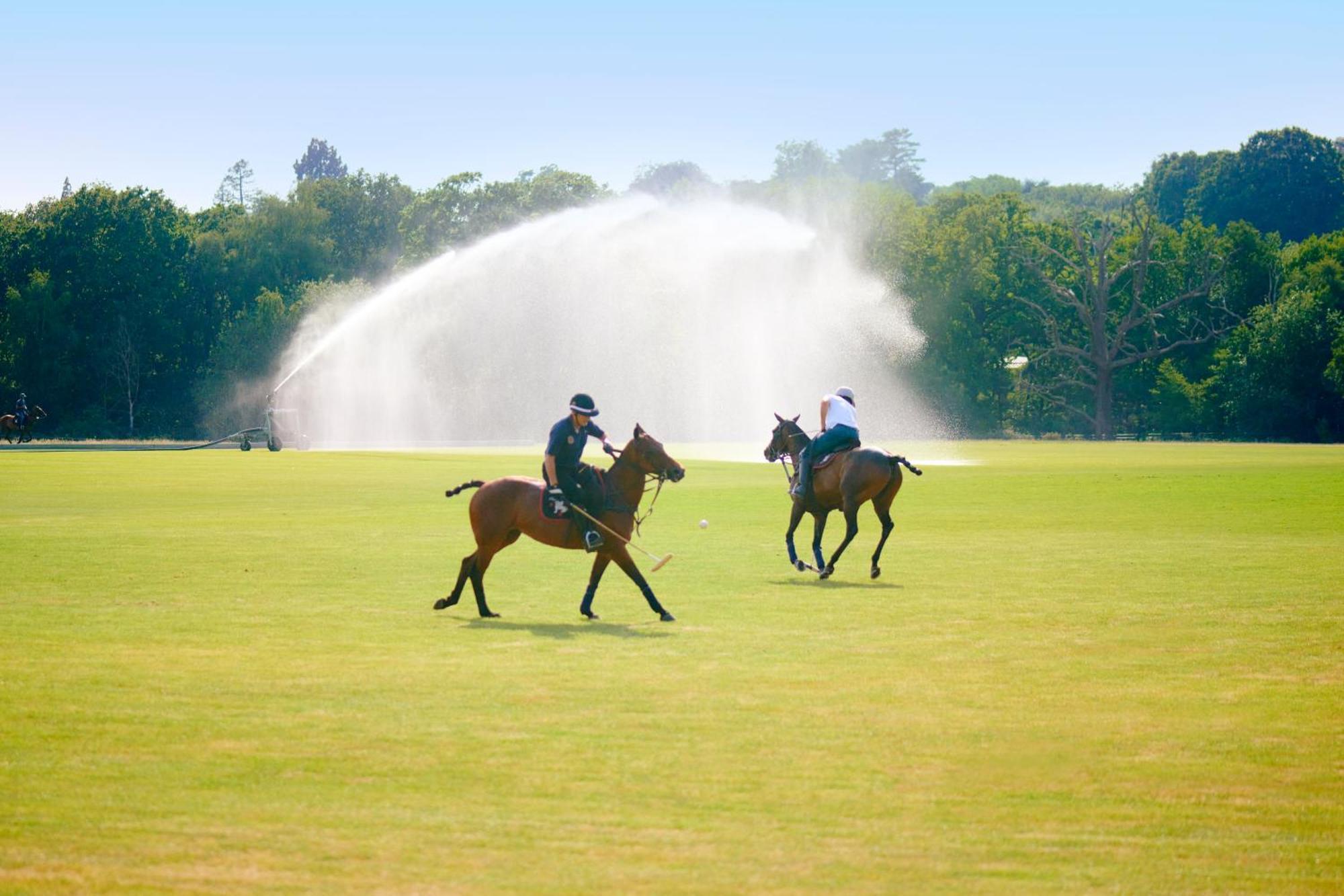 Coworth Park - Dorchester Collection Ascot  Zewnętrze zdjęcie